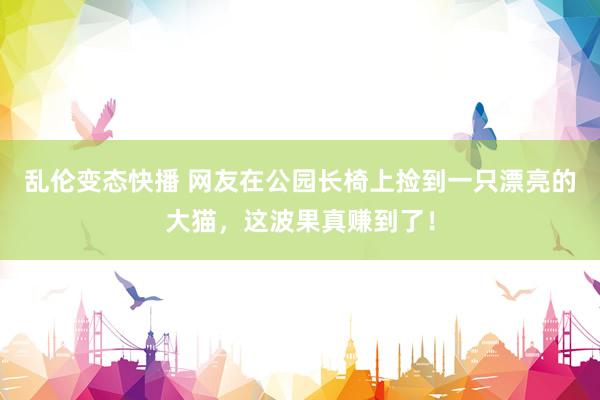   乱伦变态快播 网友在公园长椅上捡到一只漂亮的大猫，这波果真赚到了！