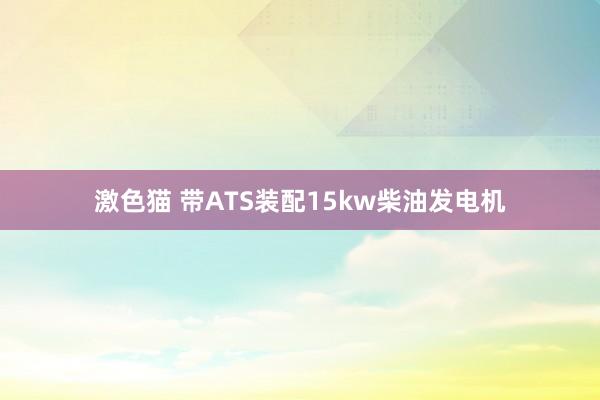   激色猫 带ATS装配15kw柴油发电机