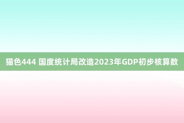   猫色444 国度统计局改造2023年GDP初步核算数