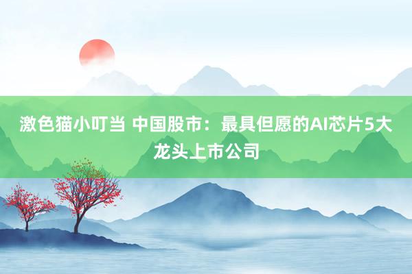   激色猫小叮当 中国股市：最具但愿的AI芯片5大龙头上市公司