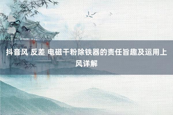   抖音风 反差 电磁干粉除铁器的责任旨趣及运用上风详解