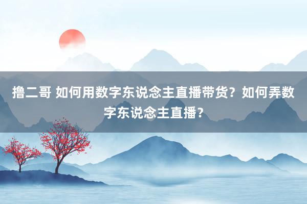   撸二哥 如何用数字东说念主直播带货？如何弄数字东说念主直播？