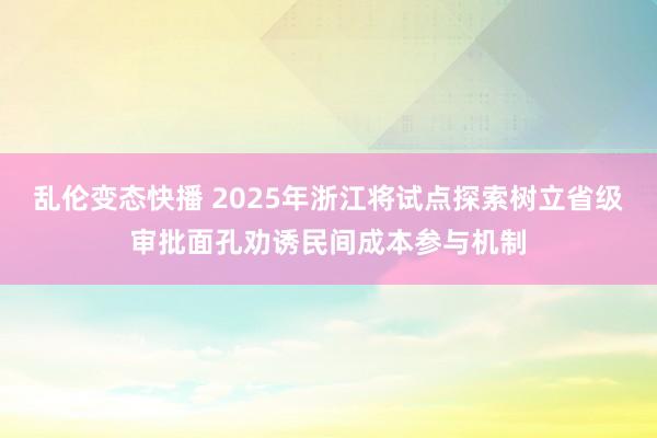   乱伦变态快播 2025年浙江将试点探索树立省级审批面孔劝诱民间成本参与机制