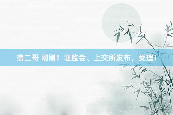   撸二哥 刚刚！证监会、上交所发布，受理！