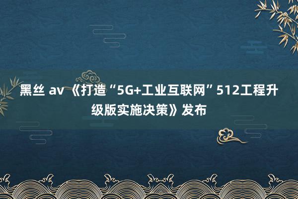   黑丝 av 《打造“5G+工业互联网”512工程升级版实施决策》发布