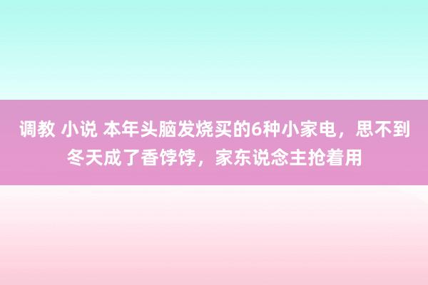   调教 小说 本年头脑发烧买的6种小家电，思不到冬天成了香饽饽，家东说念主抢着用