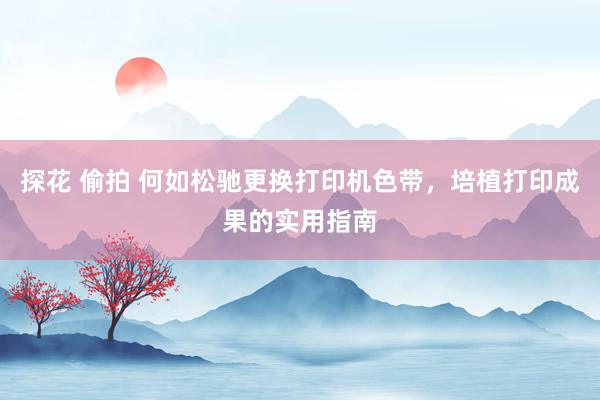   探花 偷拍 何如松驰更换打印机色带，培植打印成果的实用指南
