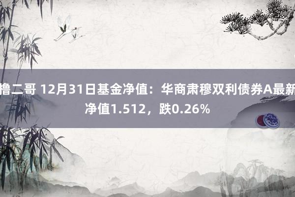   撸二哥 12月31日基金净值：华商肃穆双利债券A最新净值1.512，跌0.26%