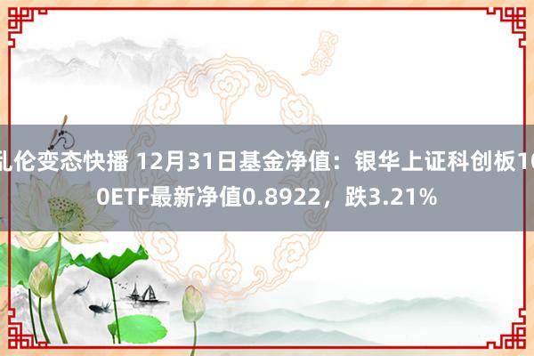   乱伦变态快播 12月31日基金净值：银华上证科创板100ETF最新净值0.8922，跌3.21%