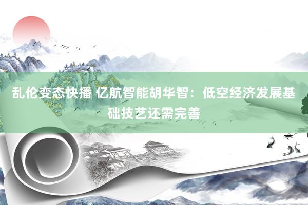   乱伦变态快播 亿航智能胡华智：低空经济发展基础技艺还需完善