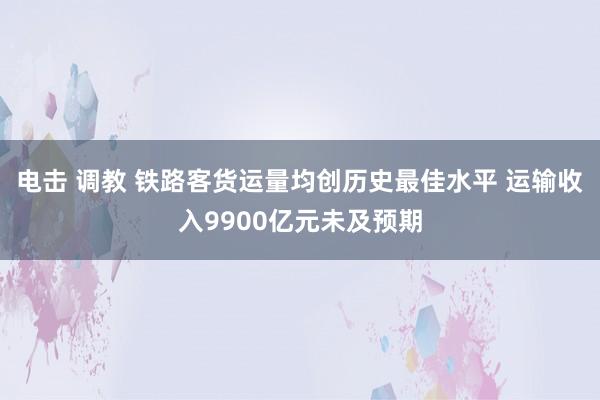   电击 调教 铁路客货运量均创历史最佳水平 运输收入9900亿元未及预期