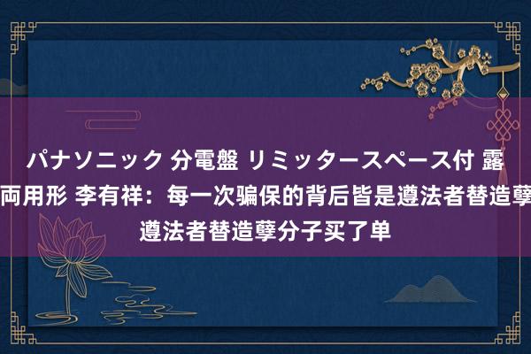   パナソニック 分電盤 リミッタースペース付 露出・半埋込両用形 李有祥：每一次骗保的背后皆是遵法者替造孽分子买了单