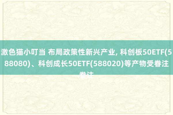   激色猫小叮当 布局政策性新兴产业, 科创板50ETF(588080)、科创成长50ETF(588020)等产物受眷注