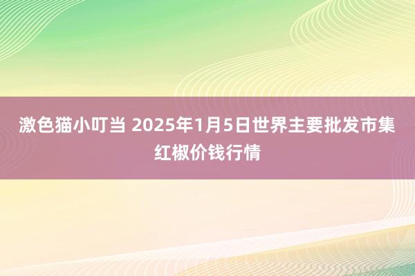   激色猫小叮当 2025年1月5日世界主要批发市集红椒价钱行情
