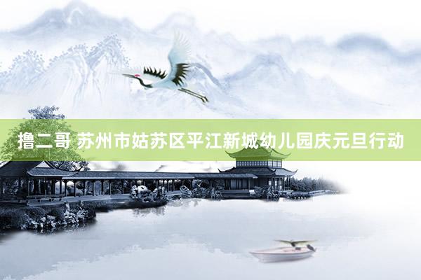   撸二哥 苏州市姑苏区平江新城幼儿园庆元旦行动