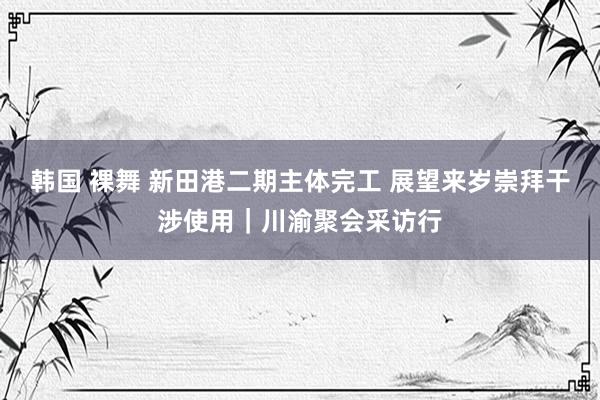   韩国 裸舞 新田港二期主体完工 展望来岁崇拜干涉使用｜川渝聚会采访行