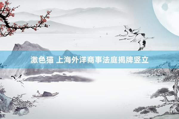   激色猫 上海外洋商事法庭揭牌竖立