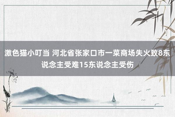   激色猫小叮当 河北省张家口市一菜商场失火致8东说念主受难15东说念主受伤
