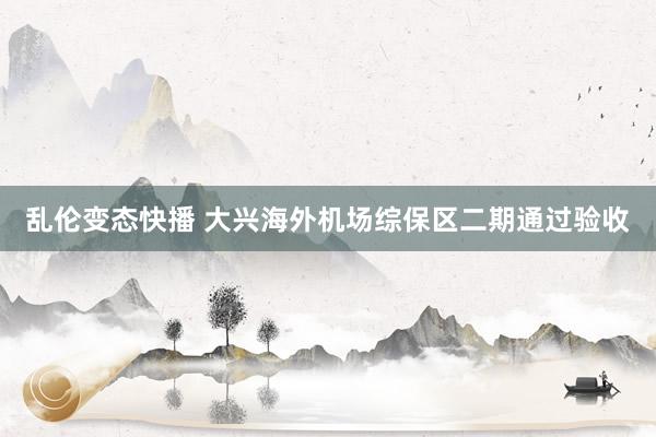   乱伦变态快播 大兴海外机场综保区二期通过验收