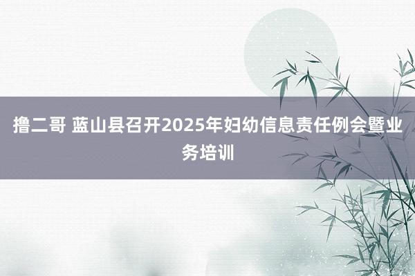   撸二哥 蓝山县召开2025年妇幼信息责任例会暨业务培训