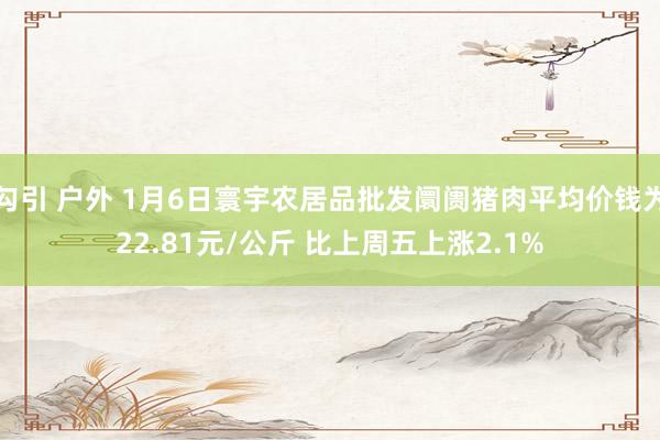   勾引 户外 1月6日寰宇农居品批发阛阓猪肉平均价钱为22.81元/公斤 比上周五上涨2.1%