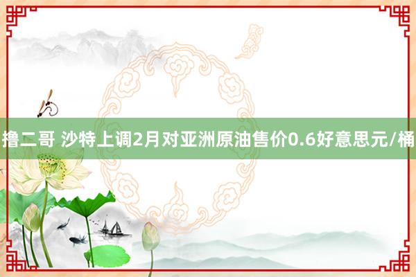   撸二哥 沙特上调2月对亚洲原油售价0.6好意思元/桶