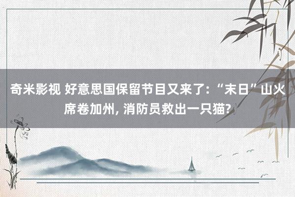   奇米影视 好意思国保留节目又来了: “末日”山火席卷加州, 消防员救出一只猫?