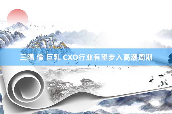   三隅 倫 巨乳 CXO行业有望步入高潮周期