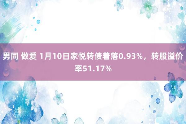   男同 做爱 1月10日家悦转债着落0.93%，转股溢价率51.17%