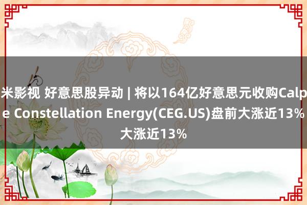   奇米影视 好意思股异动 | 将以164亿好意思元收购Calpine Constellation Energy(CEG.US)盘前大涨近13%