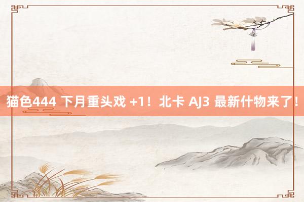   猫色444 下月重头戏 +1！北卡 AJ3 最新什物来了！
