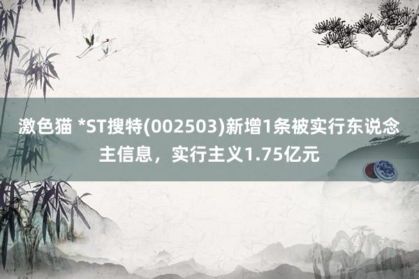   激色猫 *ST搜特(002503)新增1条被实行东说念主信息，实行主义1.75亿元