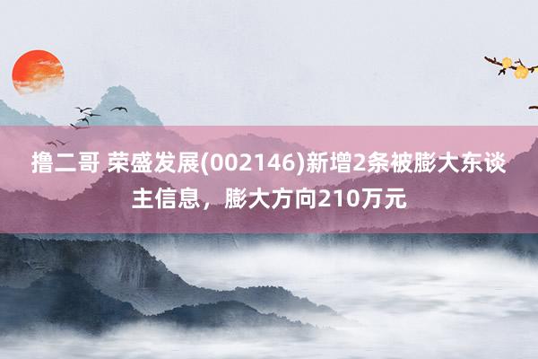   撸二哥 荣盛发展(002146)新增2条被膨大东谈主信息，膨大方向210万元