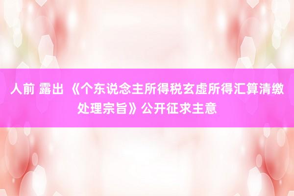   人前 露出 《个东说念主所得税玄虚所得汇算清缴处理宗旨》公开征求主意