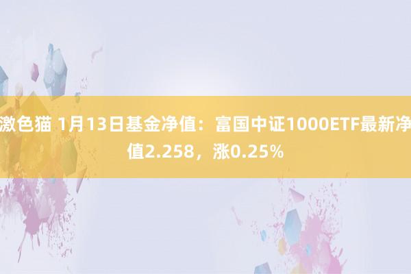   激色猫 1月13日基金净值：富国中证1000ETF最新净值2.258，涨0.25%