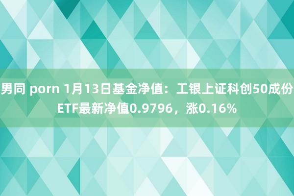   男同 porn 1月13日基金净值：工银上证科创50成份ETF最新净值0.9796，涨0.16%