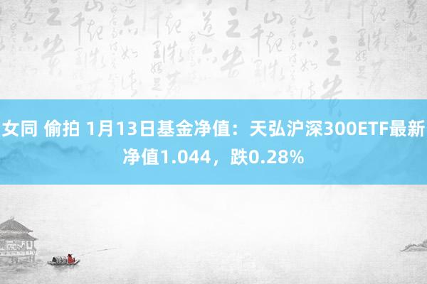   女同 偷拍 1月13日基金净值：天弘沪深300ETF最新净值1.044，跌0.28%