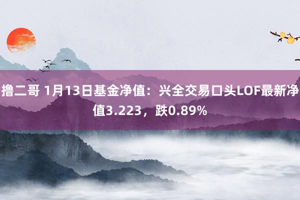   撸二哥 1月13日基金净值：兴全交易口头LOF最新净值3.223，跌0.89%