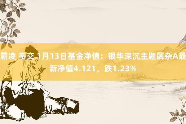   霸凌 拳交 1月13日基金净值：银华深沉主题羼杂A最新净值4.121，跌1.23%