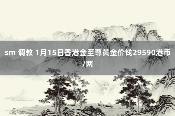   sm 调教 1月15日香港金至尊黄金价钱29590港币/两