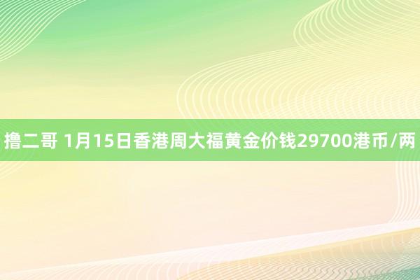   撸二哥 1月15日香港周大福黄金价钱29700港币/两