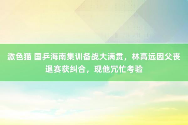   激色猫 国乒海南集训备战大满贯，林高远因父丧退赛获纠合，现他冗忙考验