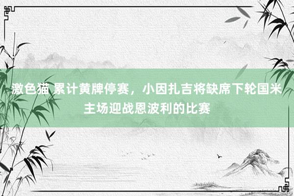   激色猫 累计黄牌停赛，小因扎吉将缺席下轮国米主场迎战恩波利的比赛