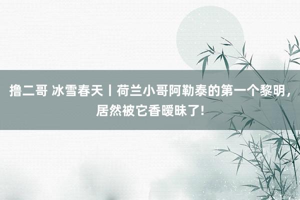   撸二哥 冰雪春天丨荷兰小哥阿勒泰的第一个黎明，居然被它香暧昧了!