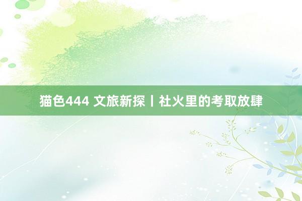   猫色444 文旅新探丨社火里的考取放肆