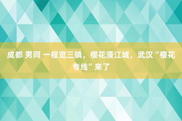   成都 男同 一程览三镇，樱花漫江城，武汉“樱花专线”来了
