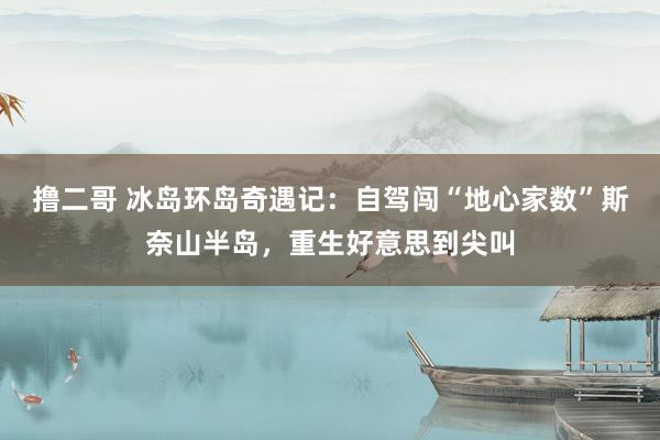   撸二哥 冰岛环岛奇遇记：自驾闯“地心家数”斯奈山半岛，重生好意思到尖叫