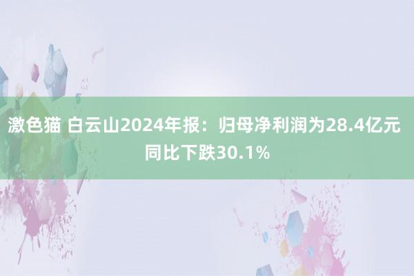   激色猫 白云山2024年报：归母净利润为28.4亿元 同比下跌30.1%