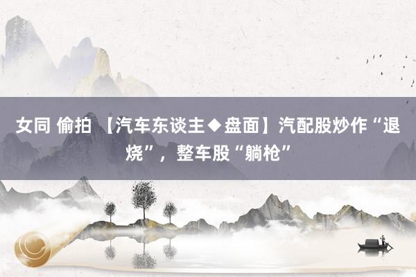   女同 偷拍 【汽车东谈主◆盘面】汽配股炒作“退烧”，整车股“躺枪”