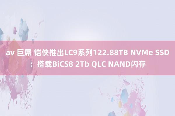   av 巨屌 铠侠推出LC9系列122.88TB NVMe SSD：搭载BiCS8 2Tb QLC NAND闪存